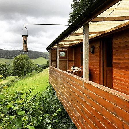 Апартаменты Cabin Pren , Darowen , Махинллет Экстерьер фото